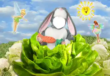Foto-effetti della categoria Per i bambini № 118833