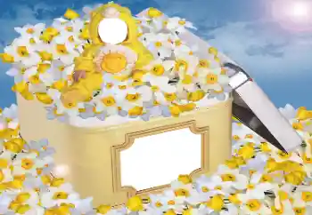 Foto-effetti della categoria Per i bambini № 33984