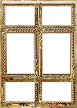 Foto-effetti della categoria Album №1 № 842