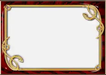 Foto-effetti della categoria Album №2 № 852