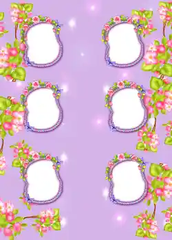Foto-effetti della categoria Album №3 № 855