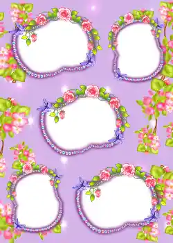 Foto-effetti della categoria Album №3 № 902