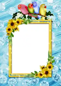 Foto-effetti della categoria Album №4 № 860