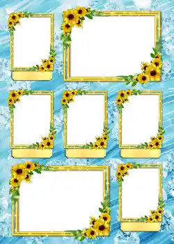 Foto-effetti della categoria Album №4 № 862