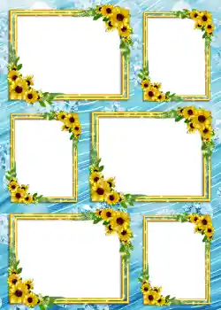 Foto-effetti della categoria Album №4 № 904