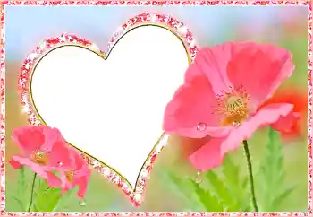 Foto-effetti della categoria Cornici per gli innamorati № 112482