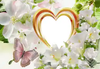 Foto-effetti della categoria Cornici per gli innamorati № 114320 Foto-effetti della categoria Cornici per gli innamorati № 114320