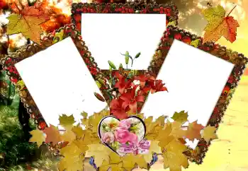 Foto-effetti della categoria Cornici per gli innamorati № 124326 Foto-effetti della categoria Cornici per gli innamorati № 124326