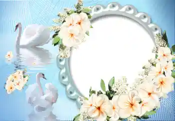 Foto-effetti della categoria Cornici per gli innamorati № 12891