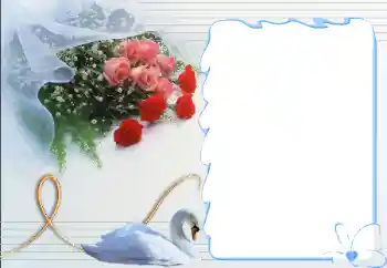 Foto-effetti della categoria Cornici per gli innamorati № 12892