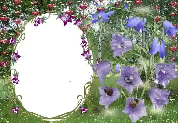 Foto-effetti della categoria Cornici per gli innamorati № 131799 Foto-effetti della categoria Cornici per gli innamorati № 131799