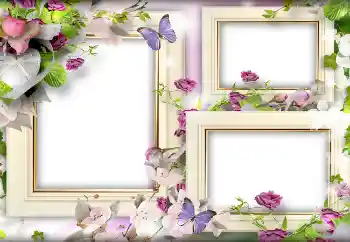 Foto-effetti della categoria Cornici per gli innamorati № 141166