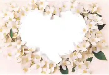 Foto-effetti della categoria Cornici per gli innamorati № 14892