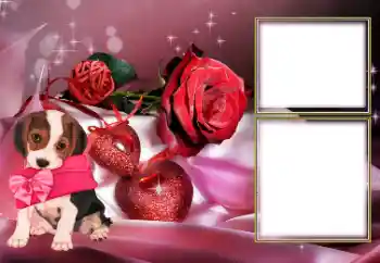 Foto-effetti della categoria Cornici per gli innamorati № 154605 Foto-effetti della categoria Cornici per gli innamorati № 154605