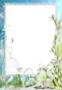 Foto-effetti della categoria Cornici per gli innamorati № 158305