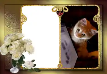 Foto-effetti della categoria Cornici per gli innamorati № 163583