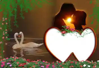 Foto-effetti della categoria Cornici per gli innamorati № 16951