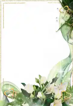 Foto-effetti della categoria Cornici per gli innamorati № 16998