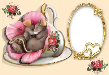 Foto-effetti della categoria Cornici per gli innamorati № 170567