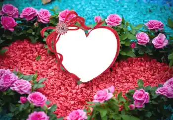 Foto-effetti della categoria Cornici per gli innamorati № 175547 Foto-effetti della categoria Cornici per gli innamorati № 175547