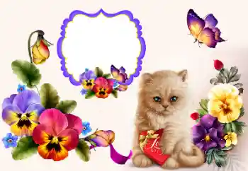 Foto-effetti della categoria Cornici per gli innamorati № 177858