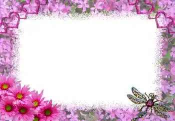 Foto-effetti della categoria Cornici per gli innamorati № 1817