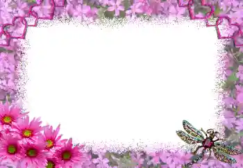 Foto-effetti della categoria Cornici per gli innamorati № 191697