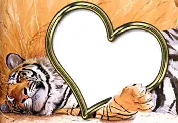 Foto-effetti della categoria Cornici per gli innamorati № 2202 Foto-effetti della categoria Cornici per gli innamorati № 2202