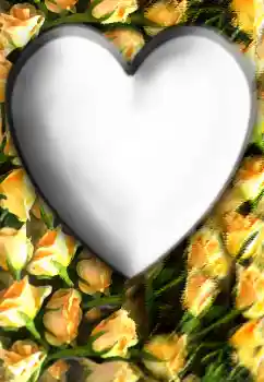 Foto-effetti della categoria Cornici per gli innamorati № 32804