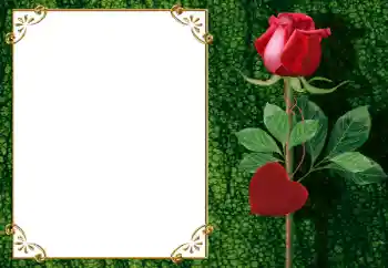 Foto-effetti della categoria Cornici per gli innamorati № 34006