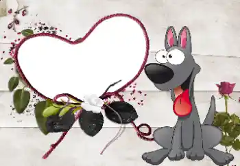 Foto-effetti della categoria Cornici per gli innamorati № 35081