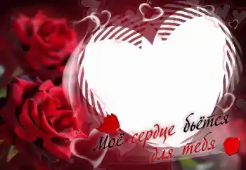 Scrittura sulla cornice: Моё сердце бьётся для тебя