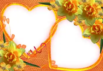 Foto-effetti della categoria Cornici per gli innamorati № 37231