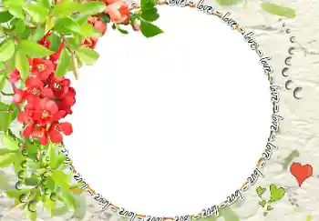 Scrittura sulla cornice: love