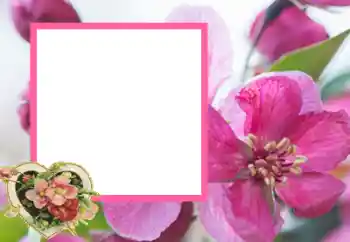 Foto-effetti della categoria Cornici per gli innamorati № 43593