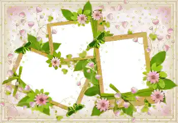 Foto-effetti della categoria Cornici per gli innamorati № 49513