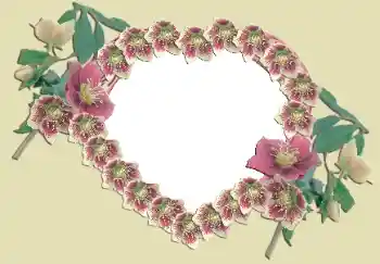 Foto-effetti della categoria Cornici per gli innamorati № 49524