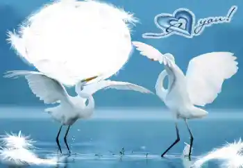 Scrittura sulla cornice: I love you! Scrittura sulla cornice: I love you!