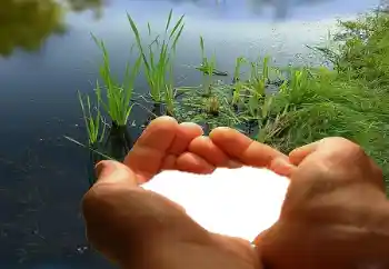 Foto-effetti della categoria Cornici per gli innamorati № 67019 Foto-effetti della categoria Cornici per gli innamorati № 67019