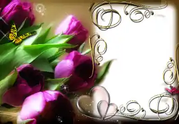 Foto-effetti della categoria Cornici per gli innamorati № 78969 Foto-effetti della categoria Cornici per gli innamorati № 78969