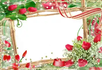 Foto-effetti della categoria Cornici per gli innamorati № 91729