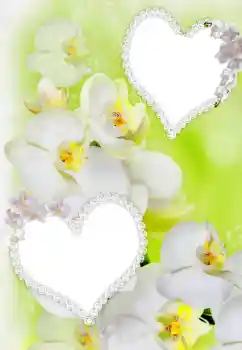 Foto-effetti della categoria Cornici per gli innamorati № 91900