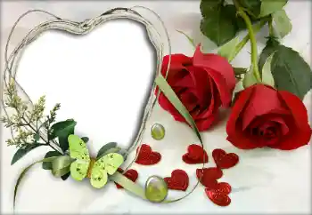 Foto-effetti della categoria Cornici per gli innamorati № 9605