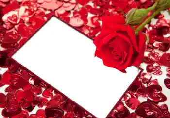 Foto-effetti della categoria Cornici per gli innamorati № 96066