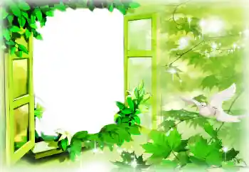 Foto-effetti della categoria Cornici per gli innamorati № 96085