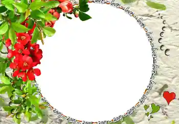 Scrittura sulla cornice: Love