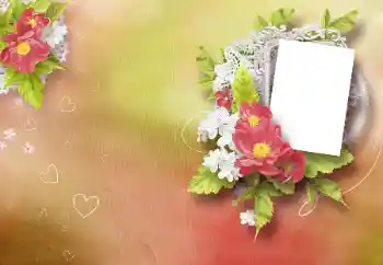 Foto-effetti della categoria Cornici per gli innamorati № 99937