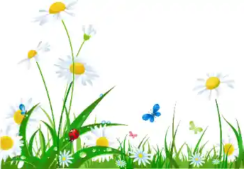 Scrittura sulla cornice: Auguri per l' 8 Marzo