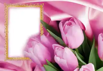 Foto-effetti della categoria Cartoline per l'8 Marzo № 130623. Scrittura sulla cornice: Auguri per l' 8 Marzo