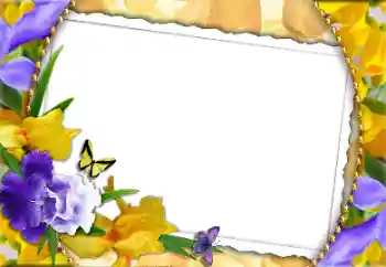 Foto-effetti della categoria Cartoline per l'8 Marzo № 130756. Scrittura sulla cornice: Auguri per l' 8 Marzo